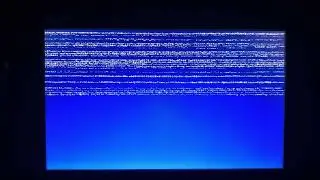 Baby bird screaming has BSOD