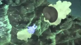Madara vs Hashirama AMV