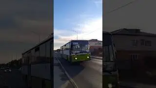 Mercedes-Benz O408,Н/З ВЕ683/64, маршрут №225 Красный Октябрь-Саратов(ЦКР) #shorts #youtube #автобус