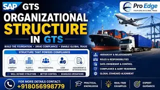 SAP GTS - Organizational Structure Explanation