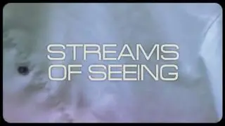 Streams of Seeing - Cameo Microfilm #9