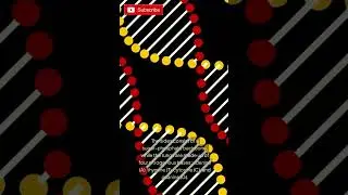 🌌 The Amazing Structure of DNA: Life’s Code! 💡