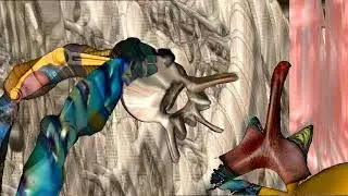 Bergsonist - Amazon Snake Charming