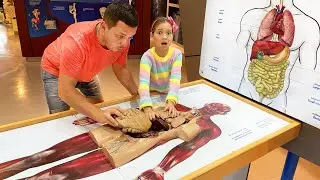 Sofia and dad are playing at the Children's Science Museum
