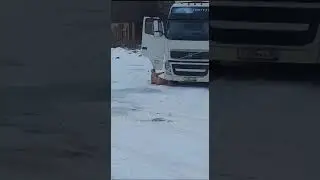 Рождение Volvеныша😂
