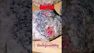 Garnets in the Rough