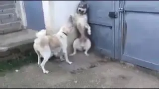 Не ори на детей!