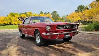 An OUTSTAND-ing Mustang