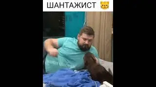 Шантажист 🐱🐱🐱