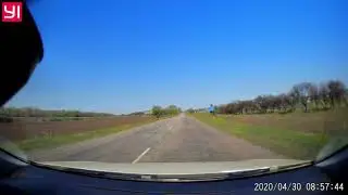 Птичку жалко (