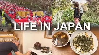 (V-log) Best Day Ever! Amazing Doll  Display in Rural Japan 🇯🇵 Spring treats on a remote island