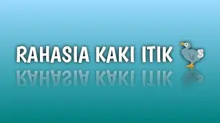 Rahasia Kaki Itik
