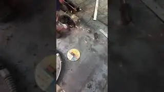Заготовки для зеркал плиты