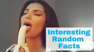 Interesting Random Facts | What Are Some Interesting Random Facts