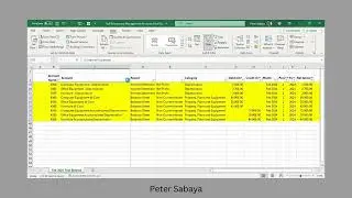 Master Microsoft Excel Filtering :  Filter by Color, Font, or Text Like a Pro