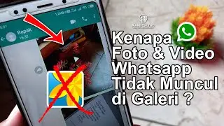 Kenapa Foto dan Video Whatsapp Tidak Tersimpan di Galeri