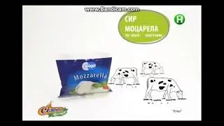 Реклама Сильпо/ сыр Моцарелла в Сильпо за 19.99 грн/ Реклама сети магазинов