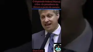 Pauta a anestia