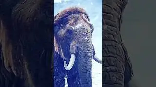 OTYKEN - ICE AGE / SPOTIFY / Apple AirPlay / Deezer / Google PlayMusic / Apple music #otyken #russia
