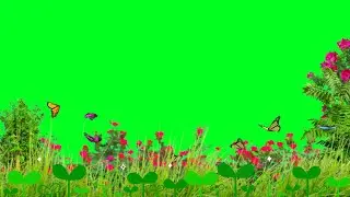 Green Screen Video full HD Green Screen Love Green Screen background video Green Screen