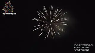 Программа № 9 ВЕСЕННИЙ САЛЮТ