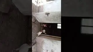 Дома у родителей.