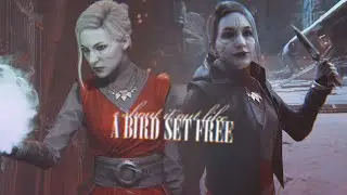 » bird set free (nightsister merrin) [jedi survivor & fallen order gmv]