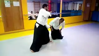 Hanmi hadachi wasa katate dori ikkyo
