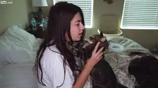 Thug Life Cat