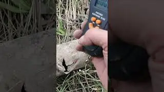 ЛЮТАЯ НАХОДКА 😱. Коп цветного металла.