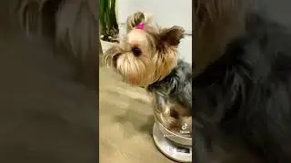 А Вы Знали?!