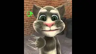 Evelyn's cat movie