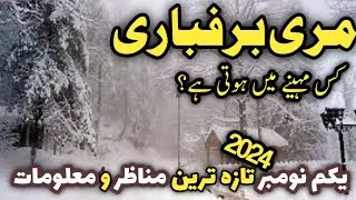 when snowfall starts in #murree nathiagali | murree today live | murree nathiagali latest updates