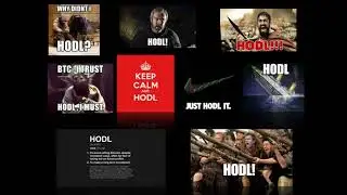 Video #3 FREE Crypto Currency Course - HODL