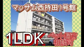 マッサム西持田Ⅰ号館1LDKリノベ物件紹介(荒木まどかVer)×(朝日住宅)