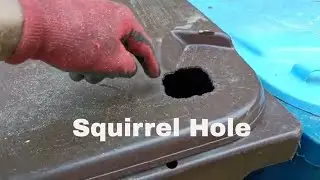 Garbage Bin Chewing Squirrels | Geo-specific in our Service Area | Kent, OH