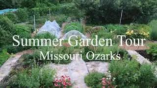 First FULL Garden Tour Of 2024! / Favorite Varieties For Missouri Ozarks