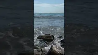 Чёрное море 