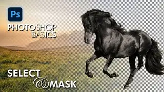 How To Remove Complicated Background Using Select And Mask In Photoshop