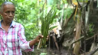 Villagers prepare Lasia spinosa curry | Kohila Dalu Curry Recipe | Cusine of sri lanka