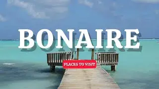 Top 10 places to visit in Bonaire! 🇧🇶