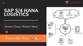SAP S4 HANA Logistics by TechBrainz