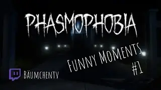 Funny Moments @ Phasmophobia #1