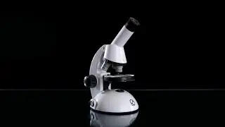 Create, Capture, and Explore Like a Scientist!