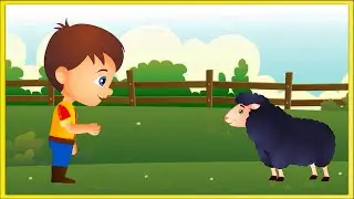 Baa Baa Black Sheep | Classic Nursery Rhyme