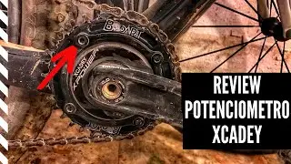 ⚡️ Potenciometro XCADEY de ARAÑA ⚡️