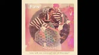 Andi Fins 