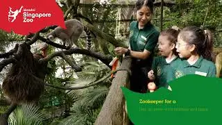 Singapore Zoo 2024