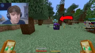 I Wagered DrDonut On The DonutSMP (Ended Badly)