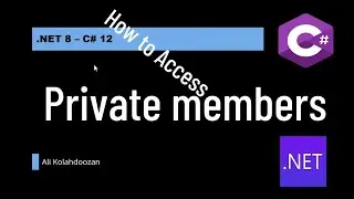 How to Access Private members in C# - 12